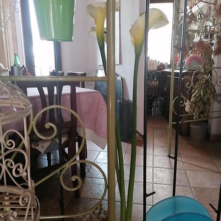 B&B Casacori 奥罗塞伊 外观 照片