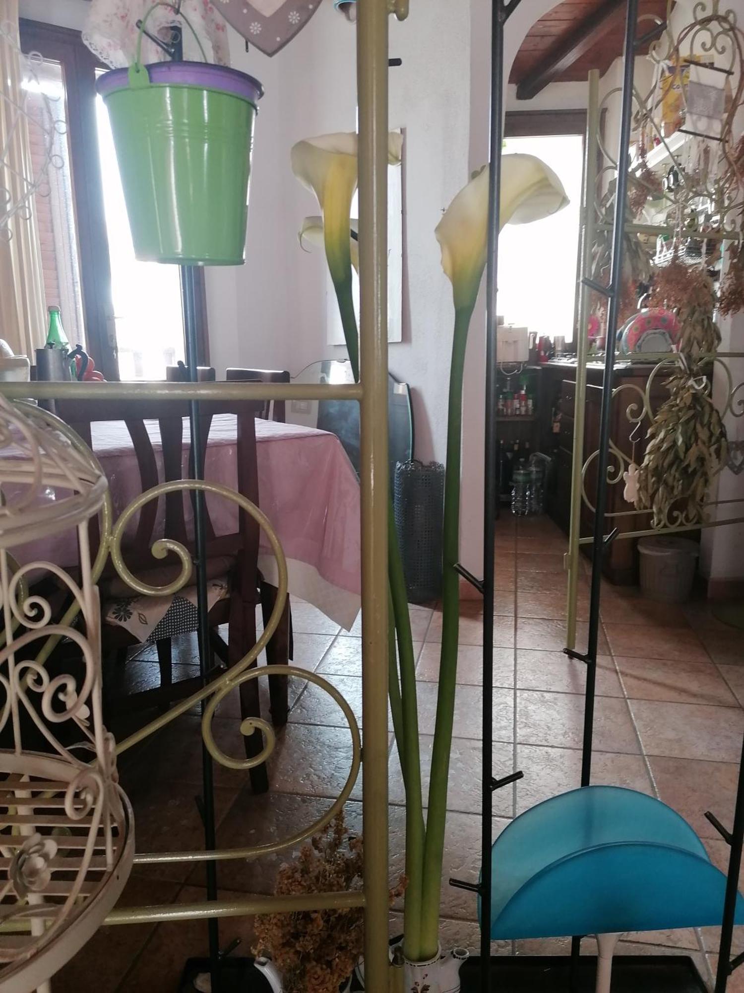 B&B Casacori 奥罗塞伊 外观 照片